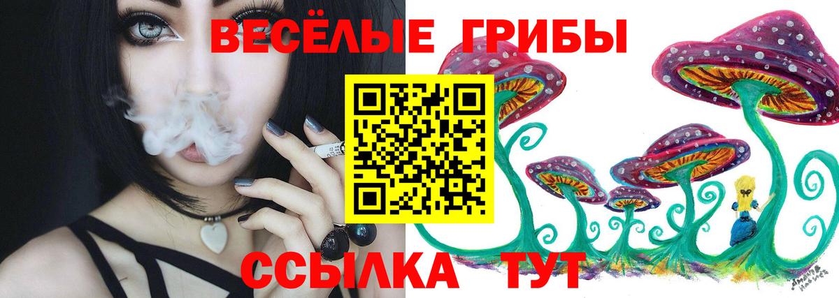 Псилоцибиновые грибы Cubensis  Вход с VPN  Сертолово 